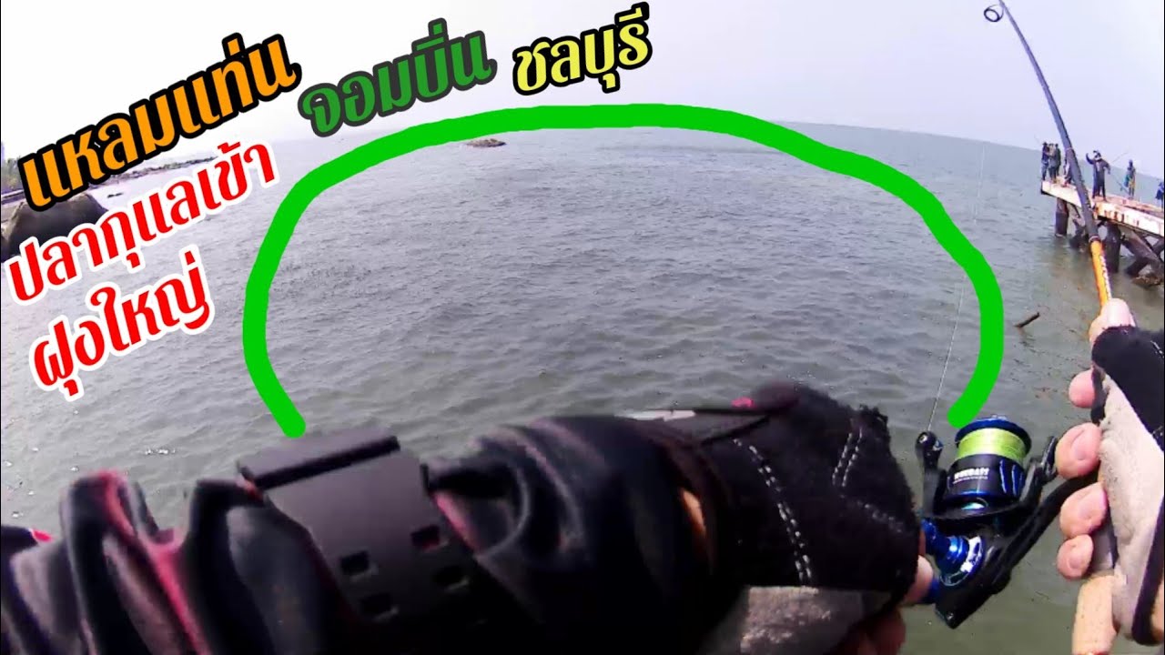 ตกปลาชายฝั่ง​ แหลมแท่นบางแสน​ปลากุแลเข้า​ ฝุงใหญ่เลยครับ​           ตกด้วย​  วิธี​ Drop​ Shot​ Rig​