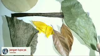 Cara membuat mozaik dari daun kering || gambar bunga diatas papan triplek. Cara membuat mozaik dari daun kering || gambar bunga diatas papan triplek.