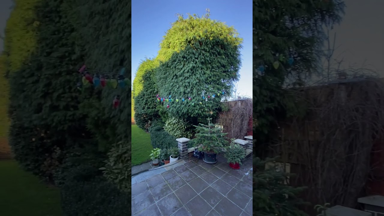 Clarence Road, Bickley, BR1