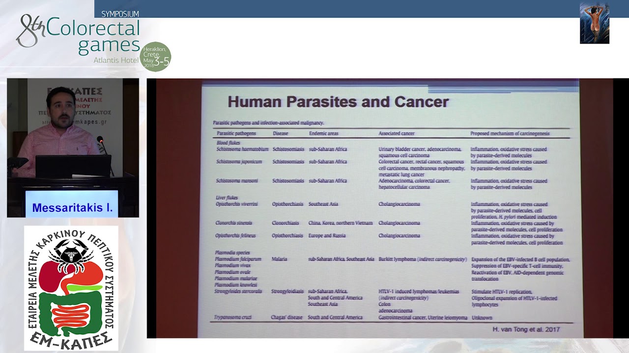 0405 09 Messaritakis I