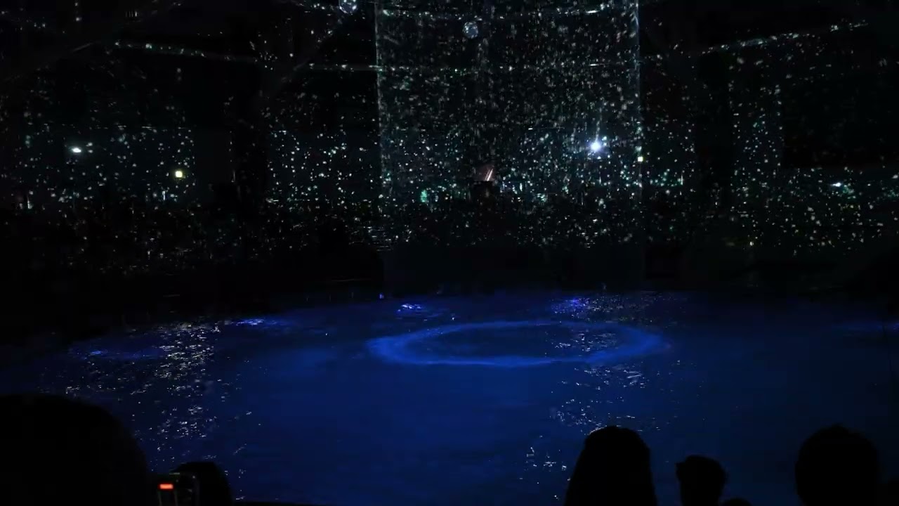 マクセルアクアパーク品川 イルカショー後編