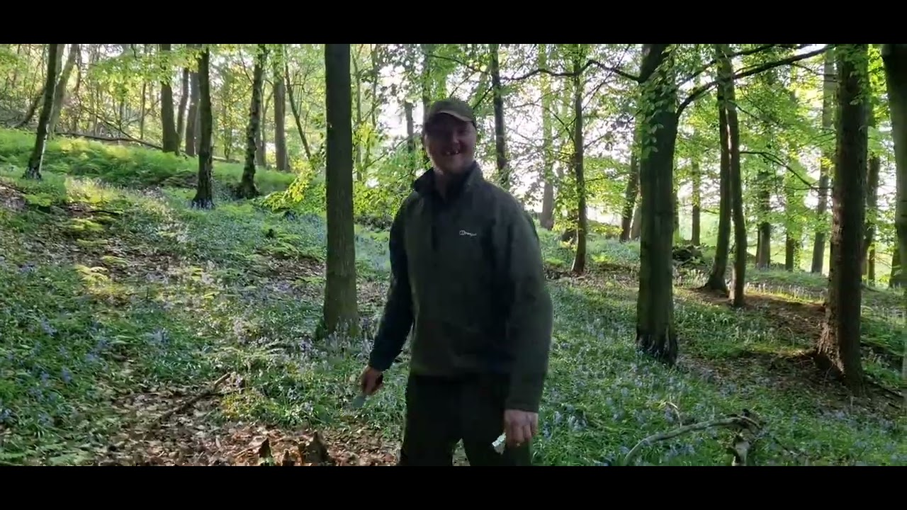 wildcamping, pagan woodland .