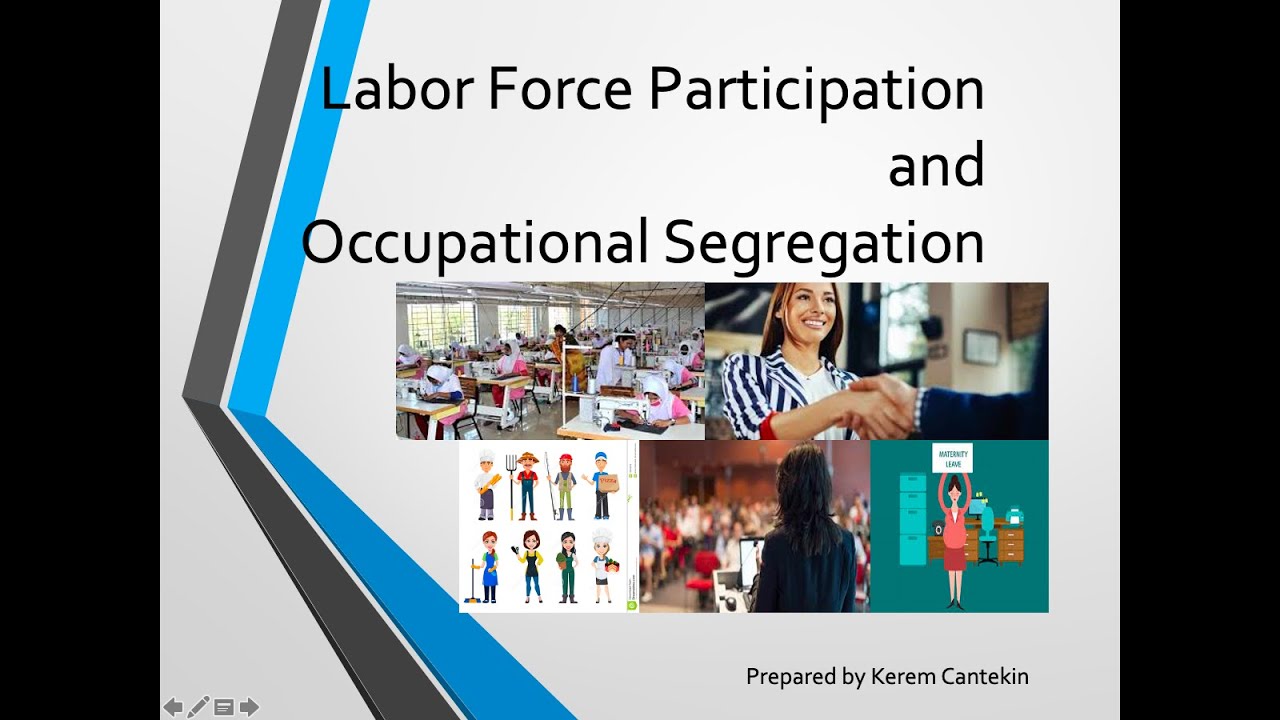 Labor Force Participation and Occupational Segregation 1