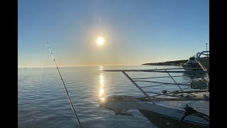 Trip'in OZ Ep 9  Monkey Mia, Hamelin Pool and Denham - The Shark Bay Area Western Australia