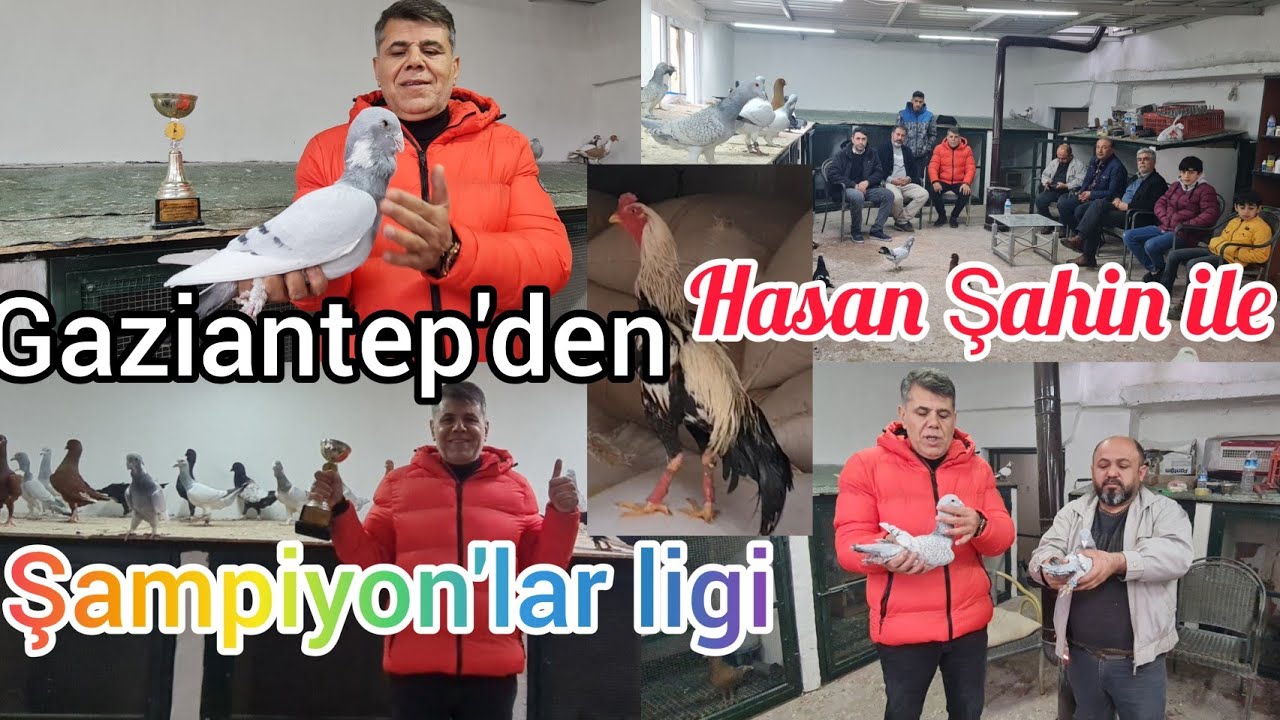 Gaziantep'den Hasan Şahin ile Şampiyon'lar ligi#aksoyfiloelvanguvercinleri