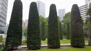 A peaceful escape in the middle of Tokyo’s energy 📸 June 2022    #OsakiTokyo #japan