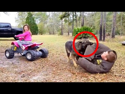 GERMAN SHEPHERD protects CHILD!🤗