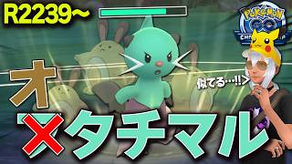 フタチマル・・・？オタチマル・・・？チャンピオンシップカップ！【ポケモンGO】