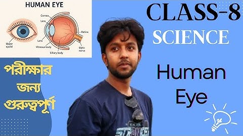 মানব চক্ষু | Human Eye | Class 8 Science Chapter 11 | অষ্টম শ্রেণি বিজ্ঞান | আলো