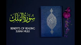 Surah Al-Mulk tilawat | By Dawood Hamza With |سورة الملك| by Listen Quran #almulk #surahalmulk