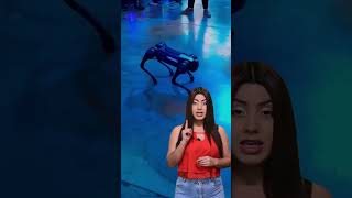 Lugones es el primer perro policía robot del país