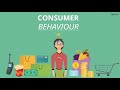 Consumer Behaviour: Importance, Context, Influencing Factors and Types (A detailed analysis)