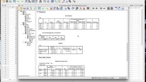 SPSS Lab 4 Walkthrough