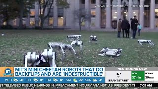 MIT creates robots that are indestructible