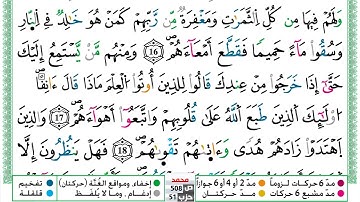 مصحف عبد الكبير الحديدي رواية ورش فيديو مكتوب ملون سورة 047  محمد
