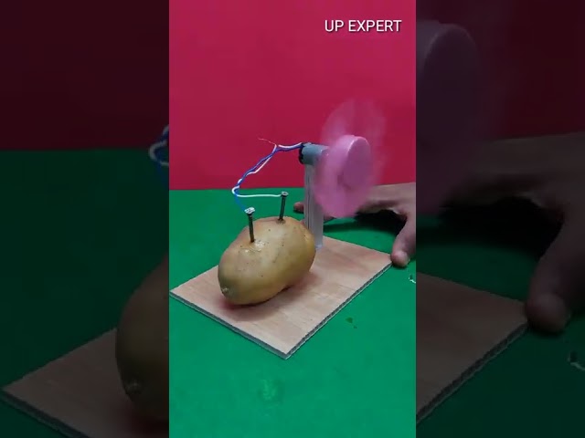 Potato Free Energy With DC Motor Experiment #shorts #trending #experiment class=