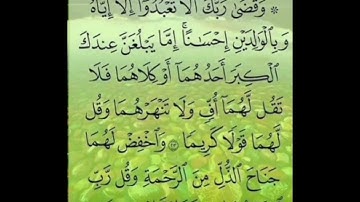 سورة الإسراء آيت نمبر 23تا24 تلاوت قرآن كريم سعد أيوب #قرآن #تلاوات #مشاري_العفاسي #تلاوة_خاشعة