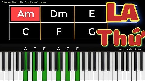 Luyện Nghe Màu Hòa Âm Giọng Am - La Thứ | Cách Luyện Tập Dễ Nhất Giúp Tự Đặt Hợp Âm Đệm Hát Piano