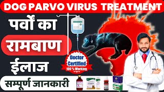 पार्वो वायरस का घरेलू ईलाज कैसे करे | Dog Parvovirus Treatment At Home | Dogs | Puppies, In Hindi