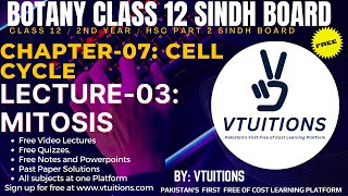 Mitosis | Chapter-07: Cell Cycle | Biology(Botany) XII | Class 12 Sindh Board