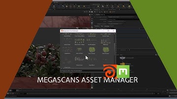 Houdini - Megascans Asset Manager #sidefxhoudini  #quixel #megascans