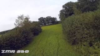 ZMR250 vs Vortex