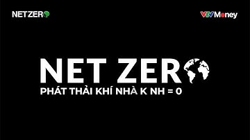 Net Zero là gì?