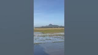 Sunshine After Super Typhoon Uwan#pangasinan #typhoon