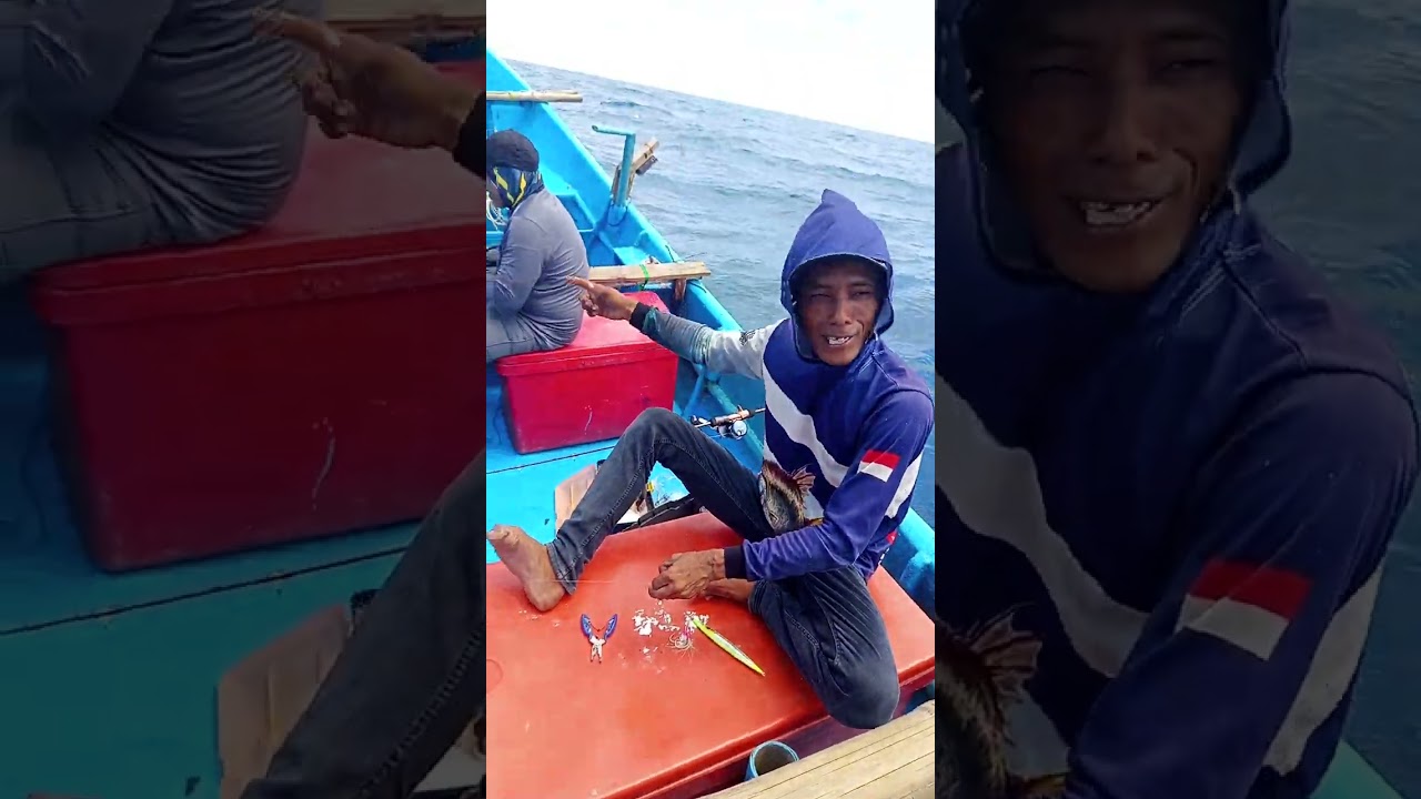 Nemu sarang kerapu moster. Dabel sutrek gaess