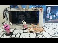 Stop Motion La Fallera Calavera El Renàixer de Canal 9. CEIP Segària, El Verger, la Marina Alta