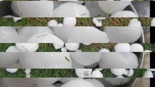 Yala Bariice Fall In Muzaffar Garh After Thunder Storm.