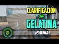 CLARIFICICACIÓN con GELATINA. Cómo hacer Cerveza Artesanal en casa.