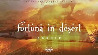 Rashid - Furtuna in Desert (Nelinistea)