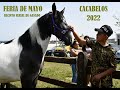 Feria de Mayo 2022  Mercado de ganado