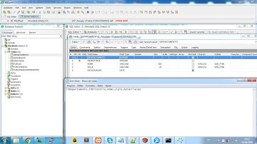 Inserindo Informação no Banco de Dados Firebird  com IBExpert Parte 1