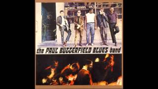 The Paul Butterfield Blues Band - Screamin' chords