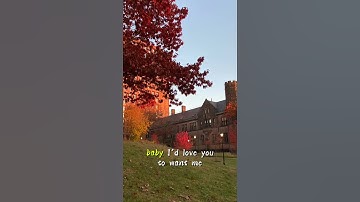 Thumbnail of 2025  Lobo's simple but charismatic song 《I'd Love You To Want Me》#music #yale #Lobo