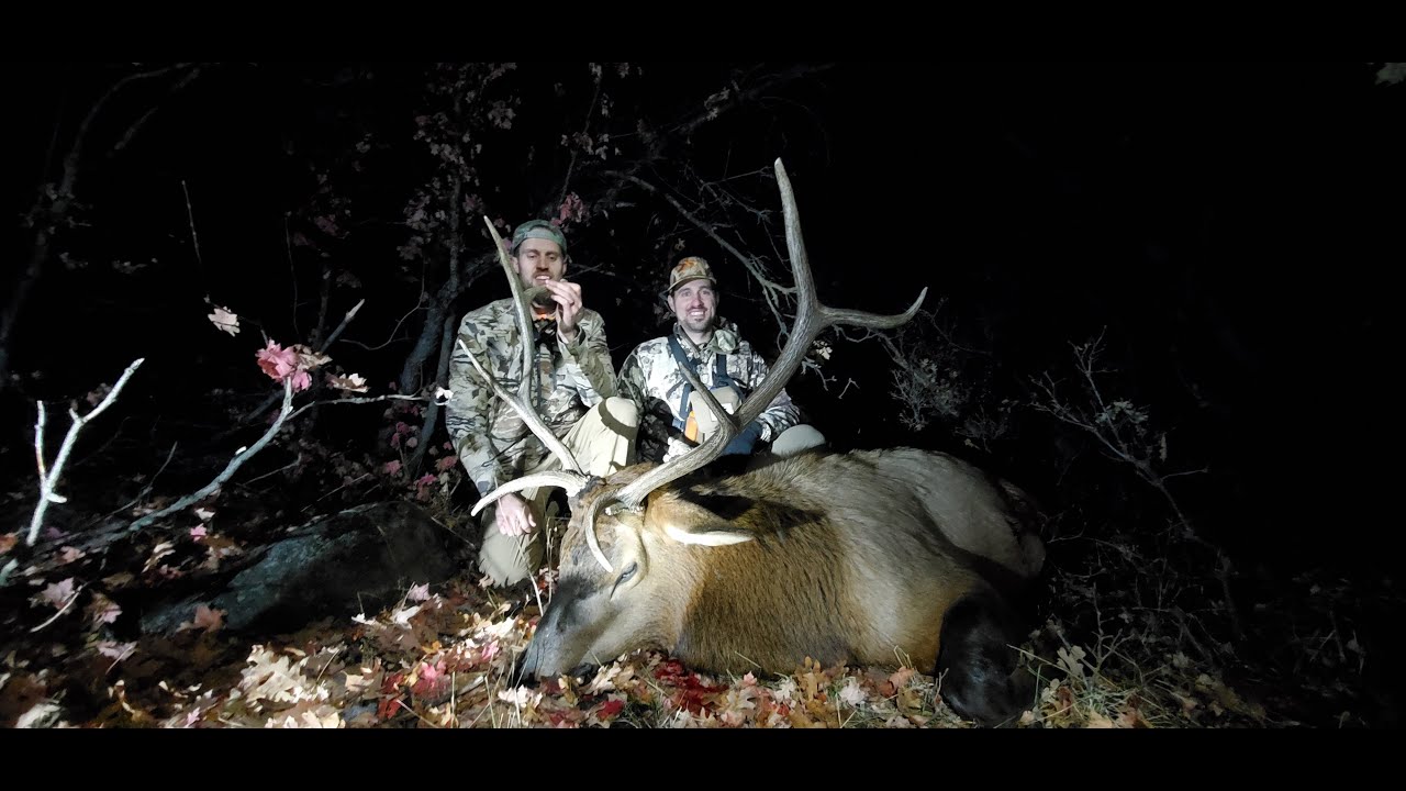 Limited Entry Elk Hunt Utah YouTube