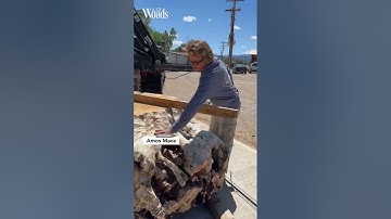 Extraordinary Coffee Table From A Huge Maple Root Ball In Process! Part 2 #shorts