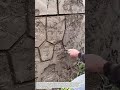 Stone Pattern Cement Wall Finishing | Decorative Masonry Texture Technique