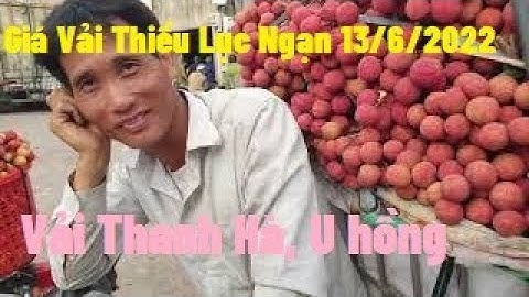 Giá Vải Thanh Hà Đẹp Đỉnh Tại Ngã Ba Tân Quang 13/6/2022 l Vải Thiều Lục Ngạn l Núi Đồi Lục Ngạn