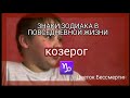 ЗНАКИ ЗОДИАКА В ПОВСЕДНЕВНОЙ ЖИЗНИ | КОЗЕРОГ ♑