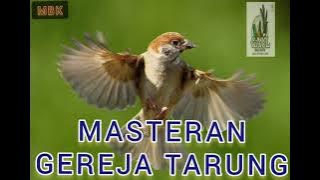 MASTERAN GEREJA TARUNG