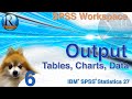 Edit Customize And Export Output Statistics With SPSS 27 For Beginners With Puppies 6 Of 8 Edit Customize And Export Output Statistics With SPSS 27 For Beginners With Puppies 6 Of 8