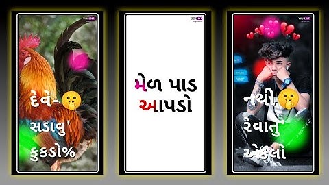 gopal Rathva New WhatsApp status 2023//Jagdish Rathva New Timli 2023