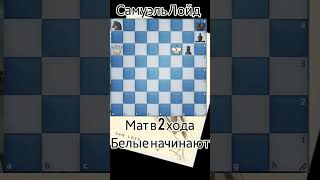 🧠 задача Лойда 16. Мат в 2 хода. #chess_stories_shorts #chess #шахматы #задачи #шахматныезадачи