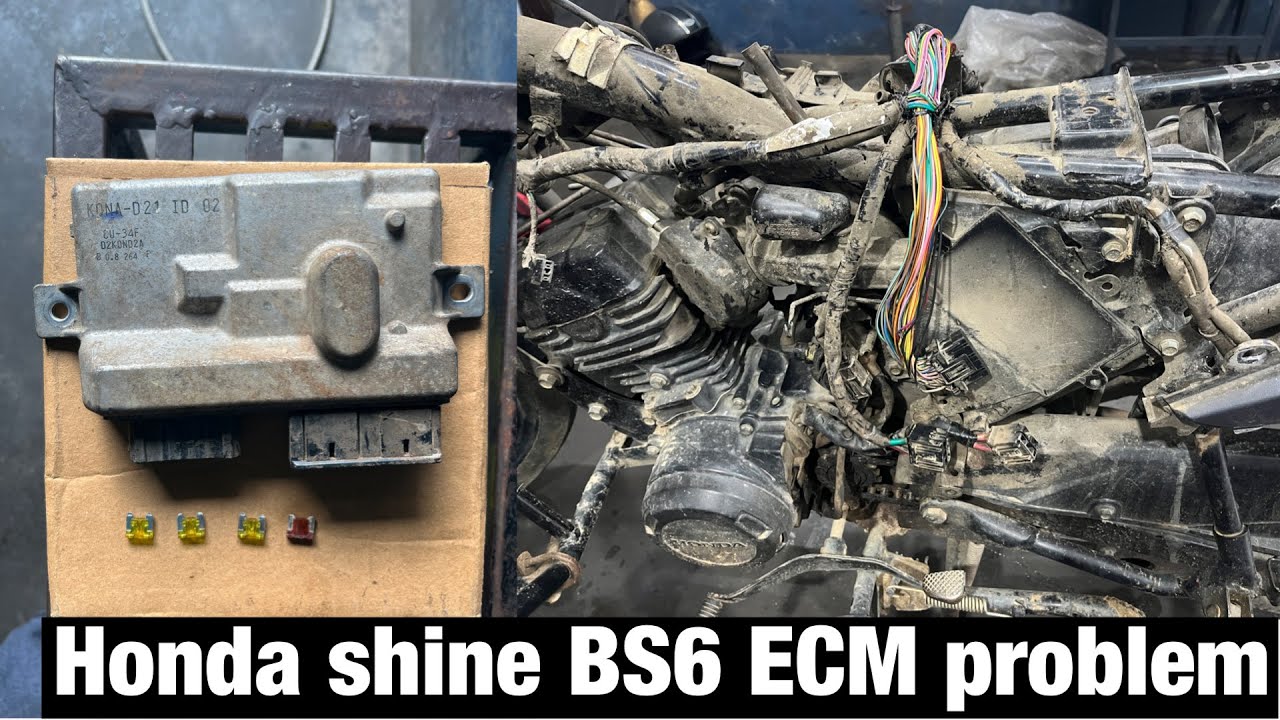 Honda shine Bs6  ECM problem !! Honda shine battery connection problem