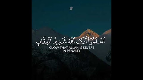 القارئ هيثم الدخين سورة (المائدة)