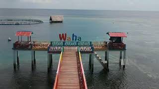 Wakatobi_Wangi Wangi : Wangi wangi island