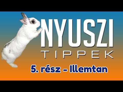 Videó: 3 módszer a nyulak tartására az apartmanban